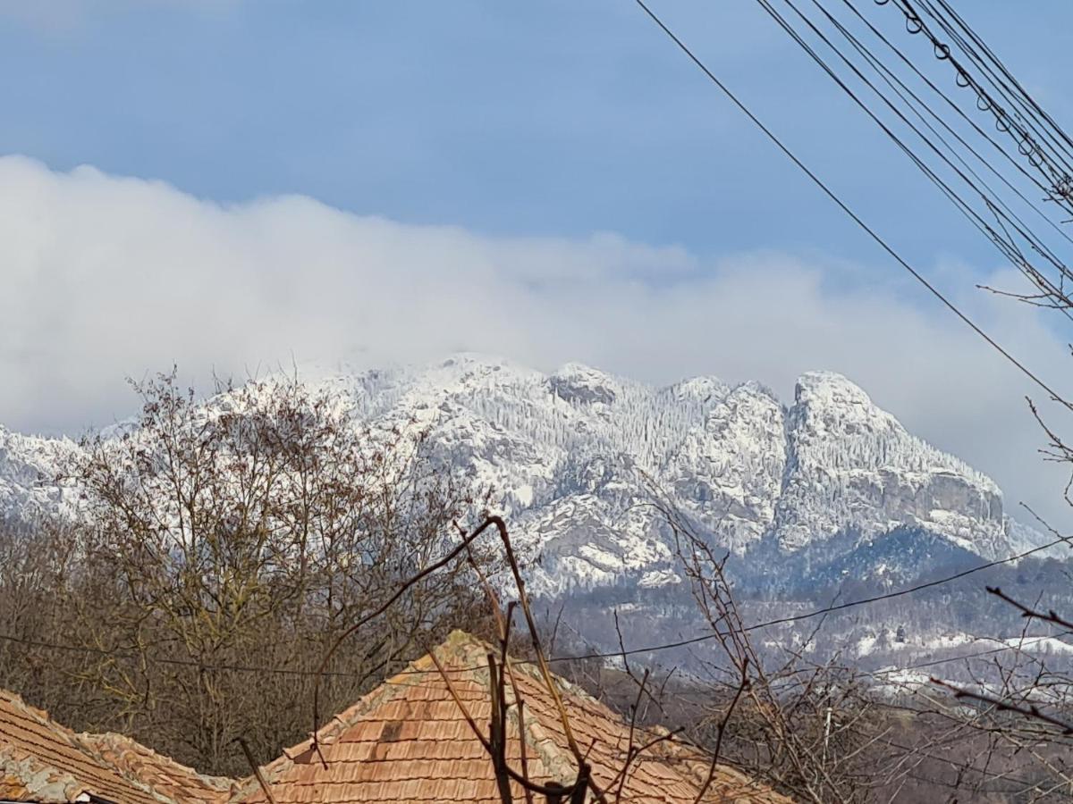Casa Hera Călimăneşti 外观 照片