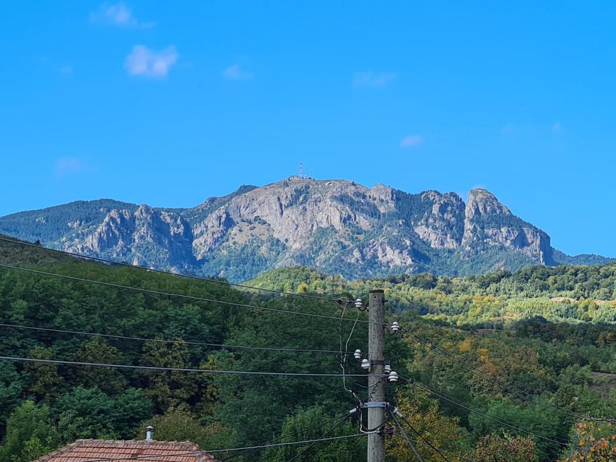 Casa Hera Călimăneşti 外观 照片