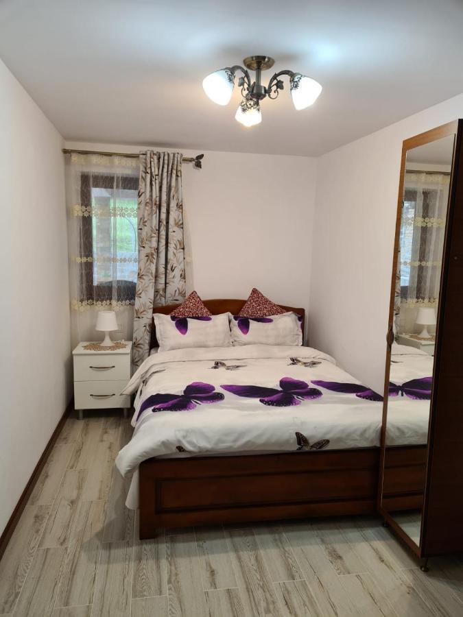 Casa Hera Călimăneşti 外观 照片