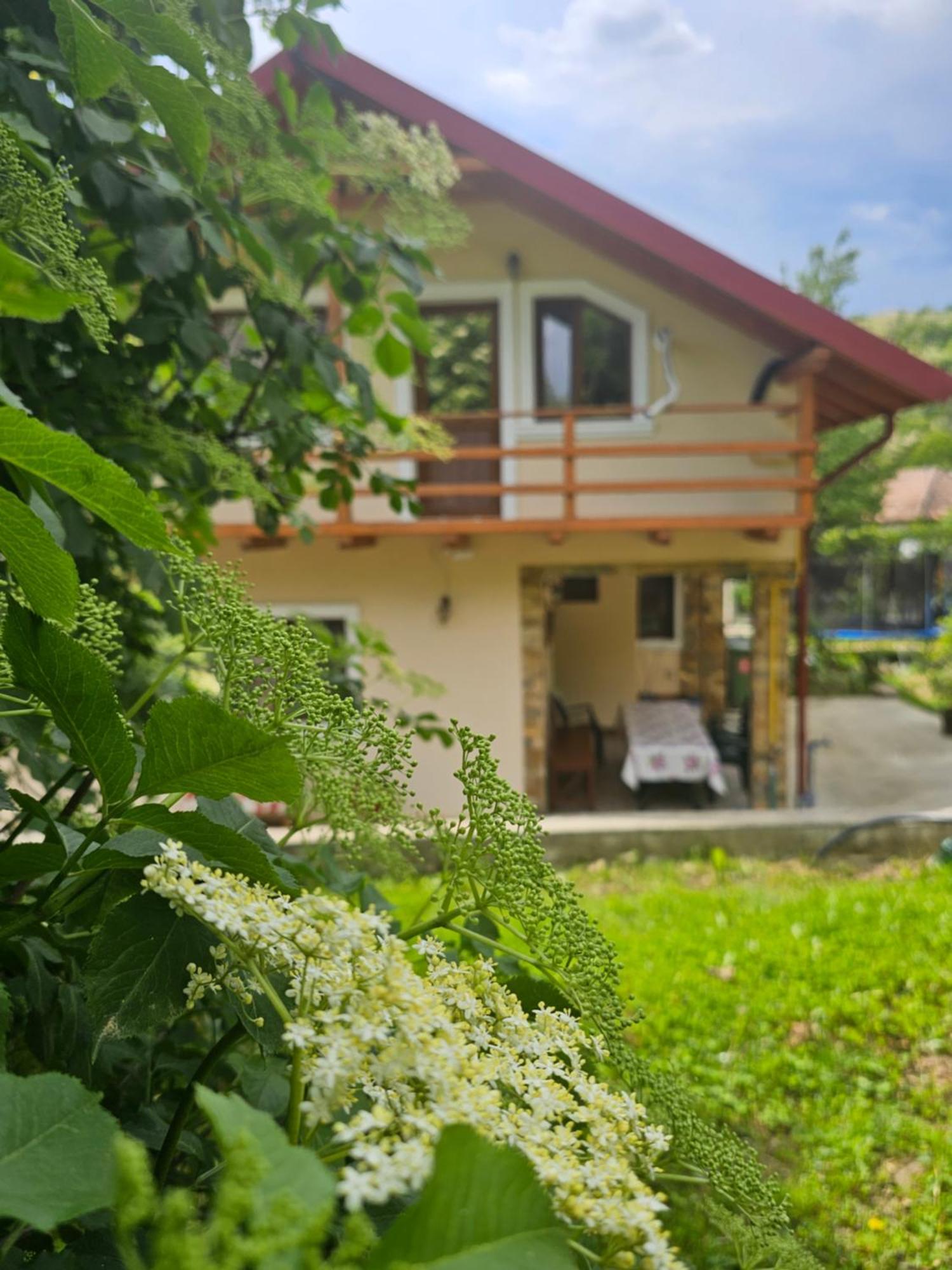 Casa Hera Călimăneşti 外观 照片