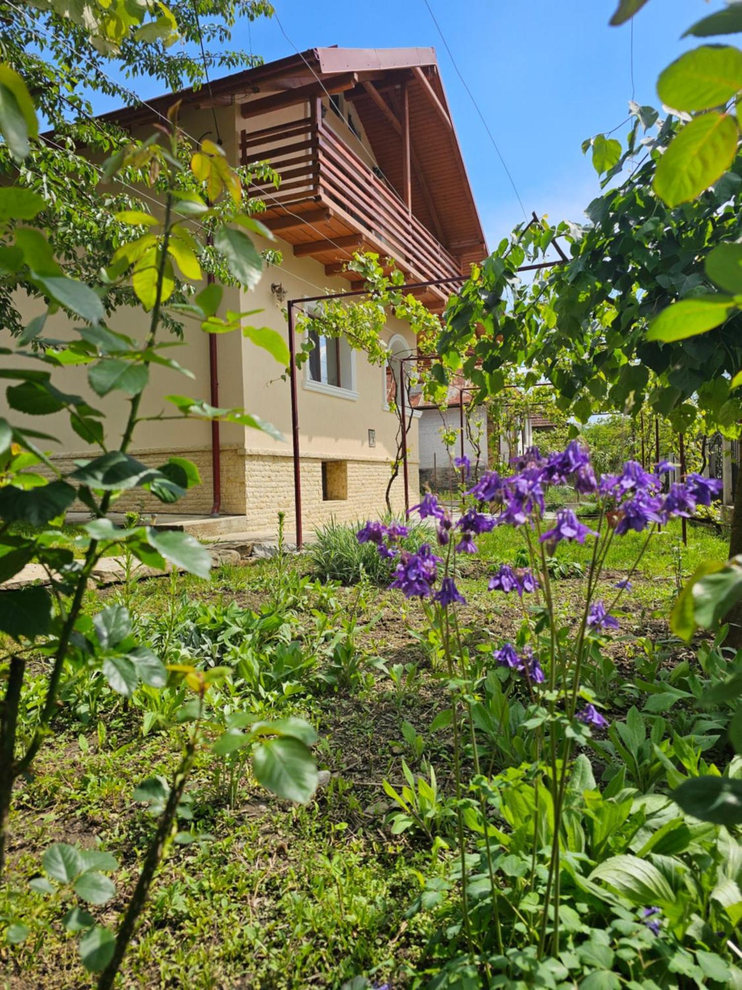 Casa Hera Călimăneşti 外观 照片